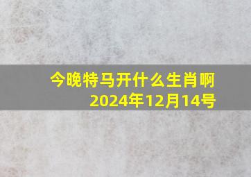 今晚特马开什么生肖啊2024年12月14号