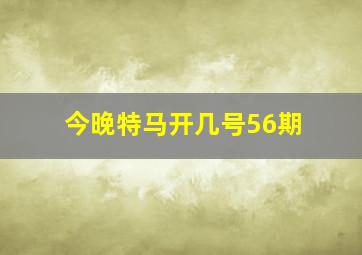 今晚特马开几号56期