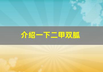 介绍一下二甲双胍