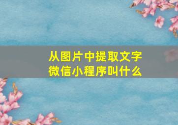 从图片中提取文字微信小程序叫什么