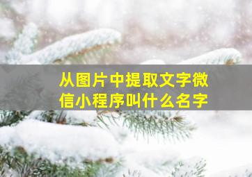 从图片中提取文字微信小程序叫什么名字