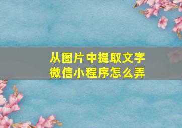 从图片中提取文字微信小程序怎么弄