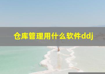 仓库管理用什么软件ddj