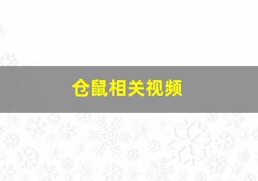 仓鼠相关视频