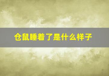 仓鼠睡着了是什么样子