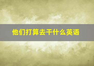 他们打算去干什么英语