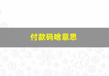 付款码啥意思