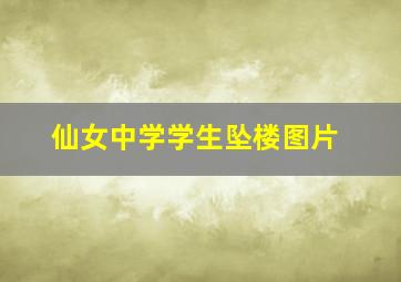 仙女中学学生坠楼图片