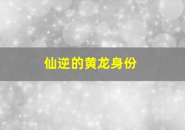 仙逆的黄龙身份