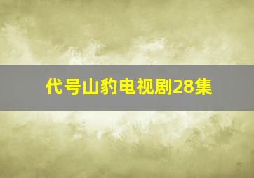 代号山豹电视剧28集