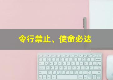 令行禁止、使命必达