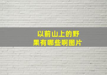 以前山上的野果有哪些啊图片