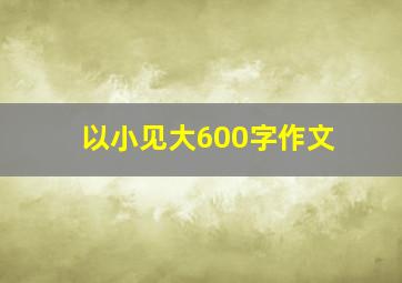 以小见大600字作文