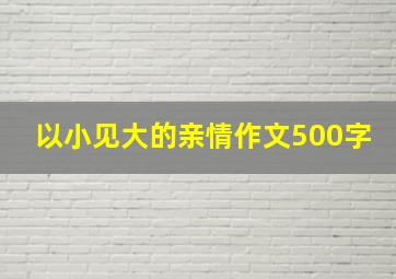 以小见大的亲情作文500字