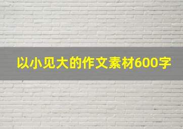 以小见大的作文素材600字