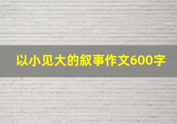 以小见大的叙事作文600字