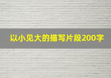 以小见大的描写片段200字