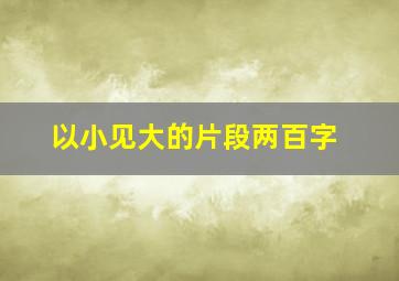 以小见大的片段两百字