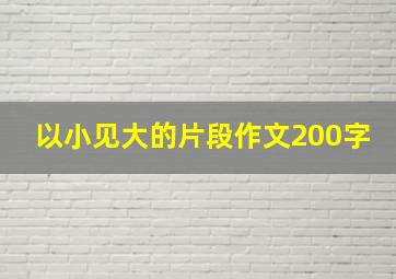 以小见大的片段作文200字