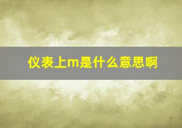 仪表上m是什么意思啊