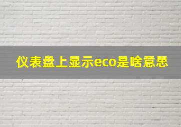 仪表盘上显示eco是啥意思