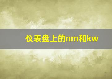 仪表盘上的nm和kw