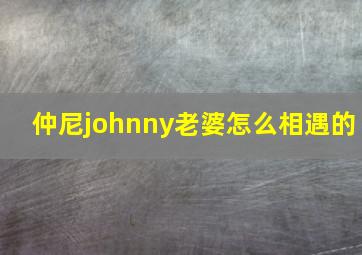 仲尼johnny老婆怎么相遇的