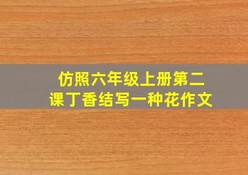 仿照六年级上册第二课丁香结写一种花作文