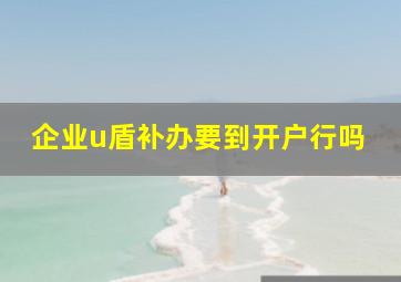 企业u盾补办要到开户行吗