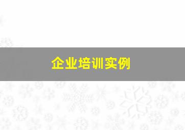 企业培训实例