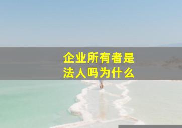 企业所有者是法人吗为什么