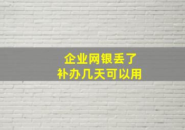 企业网银丢了补办几天可以用