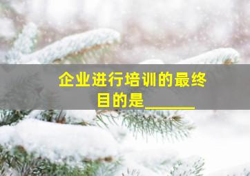 企业进行培训的最终目的是______