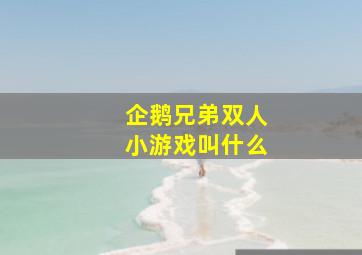 企鹅兄弟双人小游戏叫什么