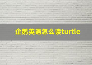 企鹅英语怎么读turtle