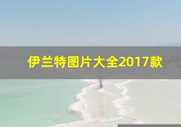 伊兰特图片大全2017款