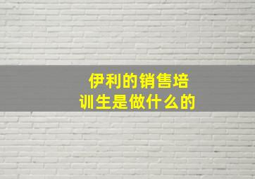 伊利的销售培训生是做什么的