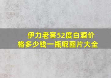 伊力老窖52度白酒价格多少钱一瓶呢图片大全