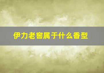 伊力老窖属于什么香型