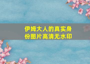 伊姆大人的真实身份图片高清无水印