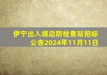 伊宁出入境边防检查站招标公告2024年11月11日