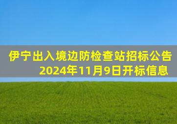 伊宁出入境边防检查站招标公告2024年11月9日开标信息