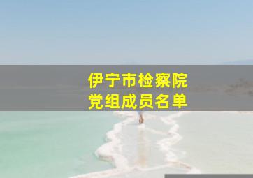 伊宁市检察院党组成员名单