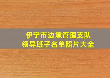 伊宁市边境管理支队领导班子名单照片大全