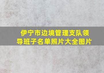 伊宁市边境管理支队领导班子名单照片大全图片