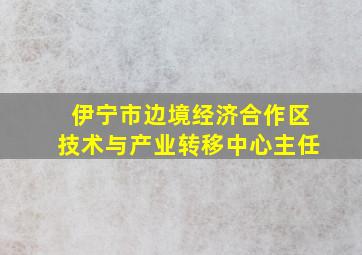 伊宁市边境经济合作区技术与产业转移中心主任