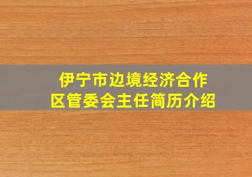 伊宁市边境经济合作区管委会主任简历介绍