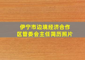 伊宁市边境经济合作区管委会主任简历照片