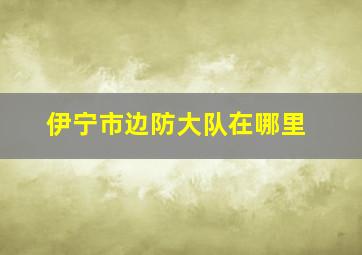 伊宁市边防大队在哪里