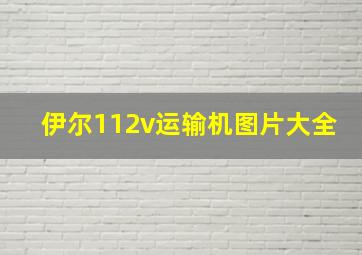 伊尔112v运输机图片大全